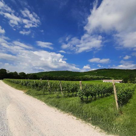 Illasi Agriturismo Andreis Alloggi מראה חיצוני תמונה
